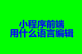 小程序前端開發用什么語言編輯