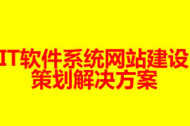 IT軟件系統網站建設策劃解決方案