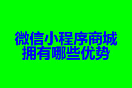 微信小程序商城擁有哪些優勢【廣州小程序開發】